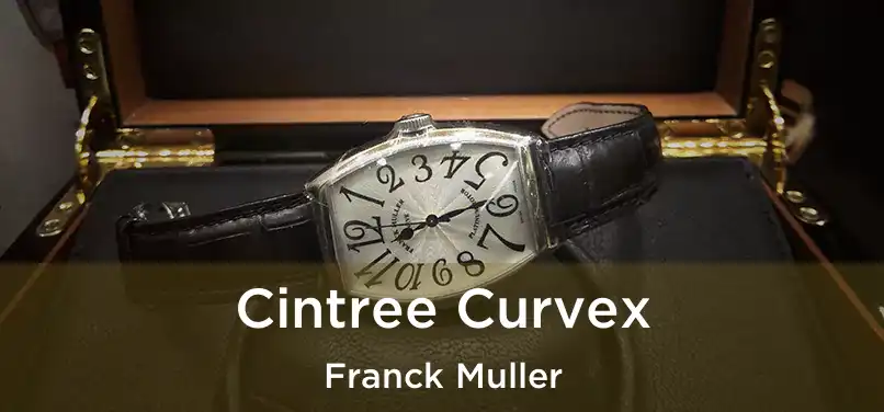  Cintree Curvex Franck Muller