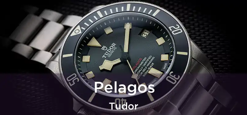  Pelagos Tudor